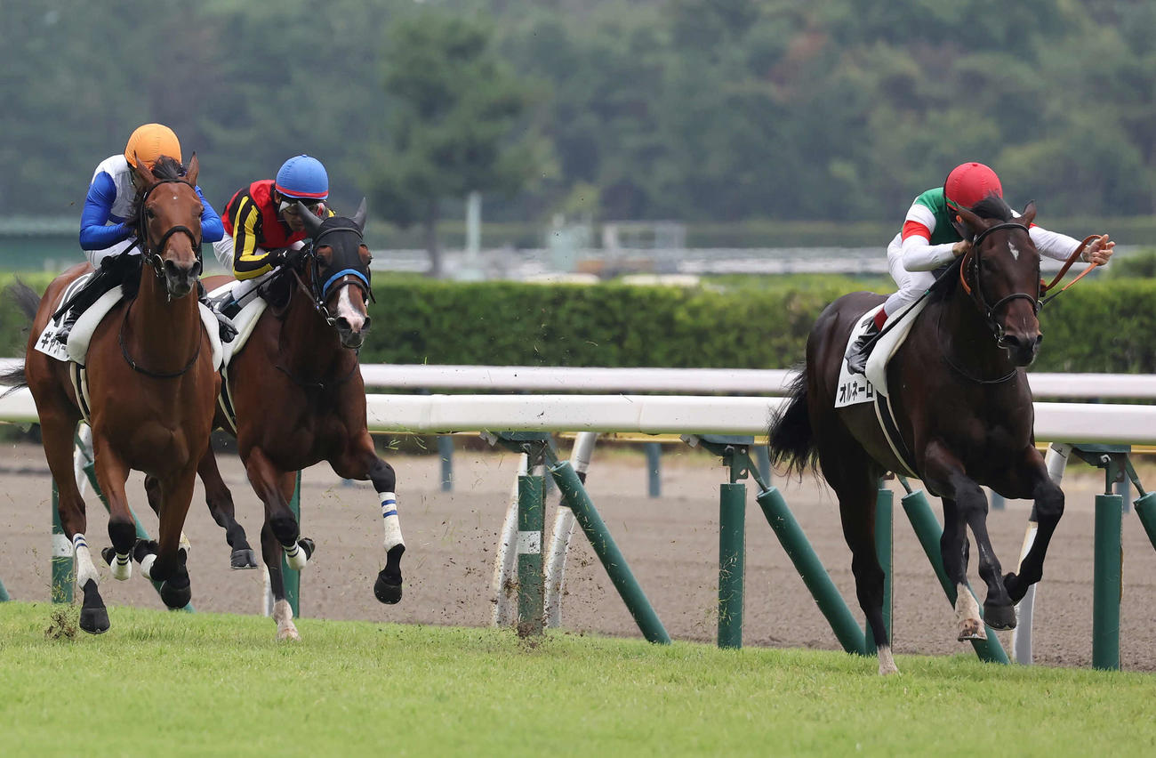 新潟2R、2歳新馬戦を制したオルネーロとルメール騎手（右）（撮影・丹羽敏通）