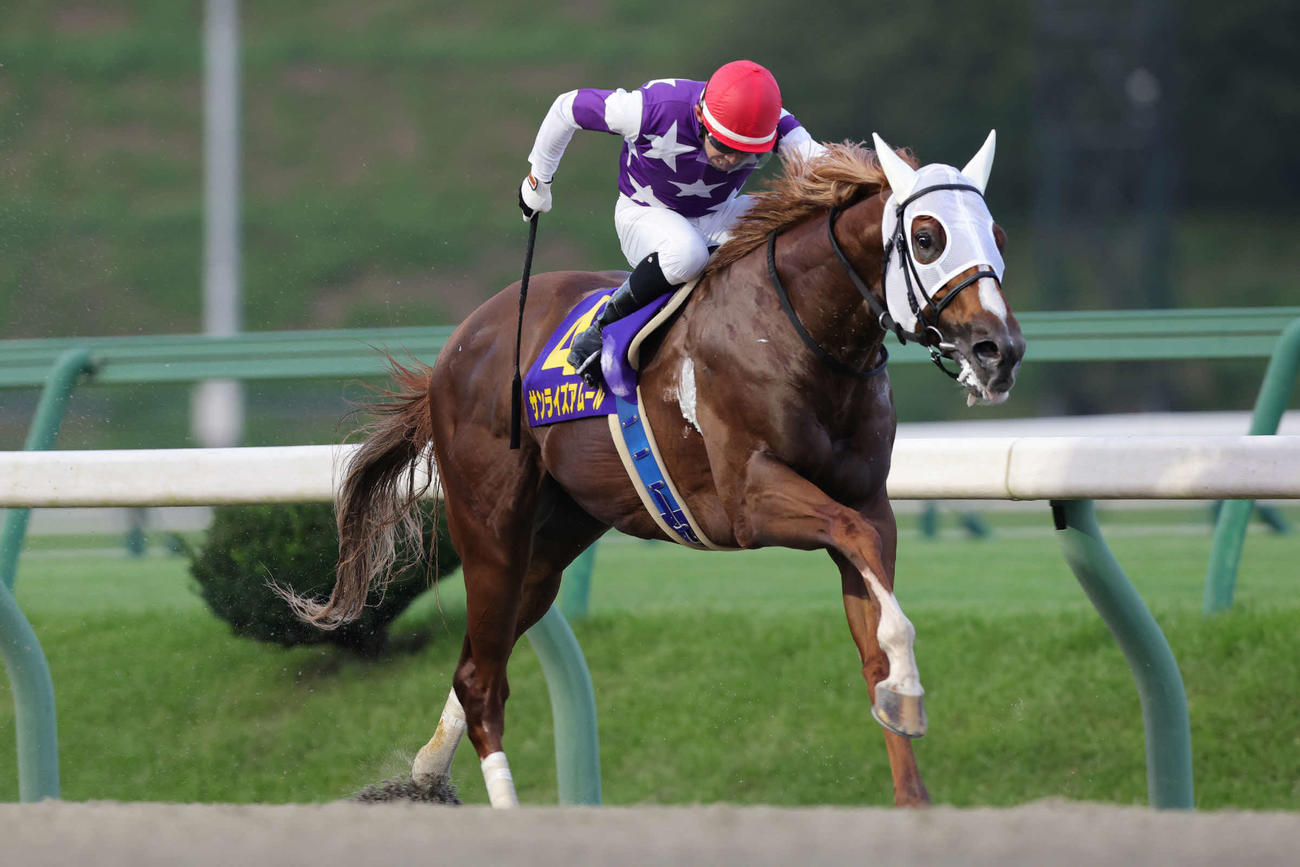 クラスターCを制したサンライズアムールと高松亮騎手（写真提供・岩手県競馬組合）