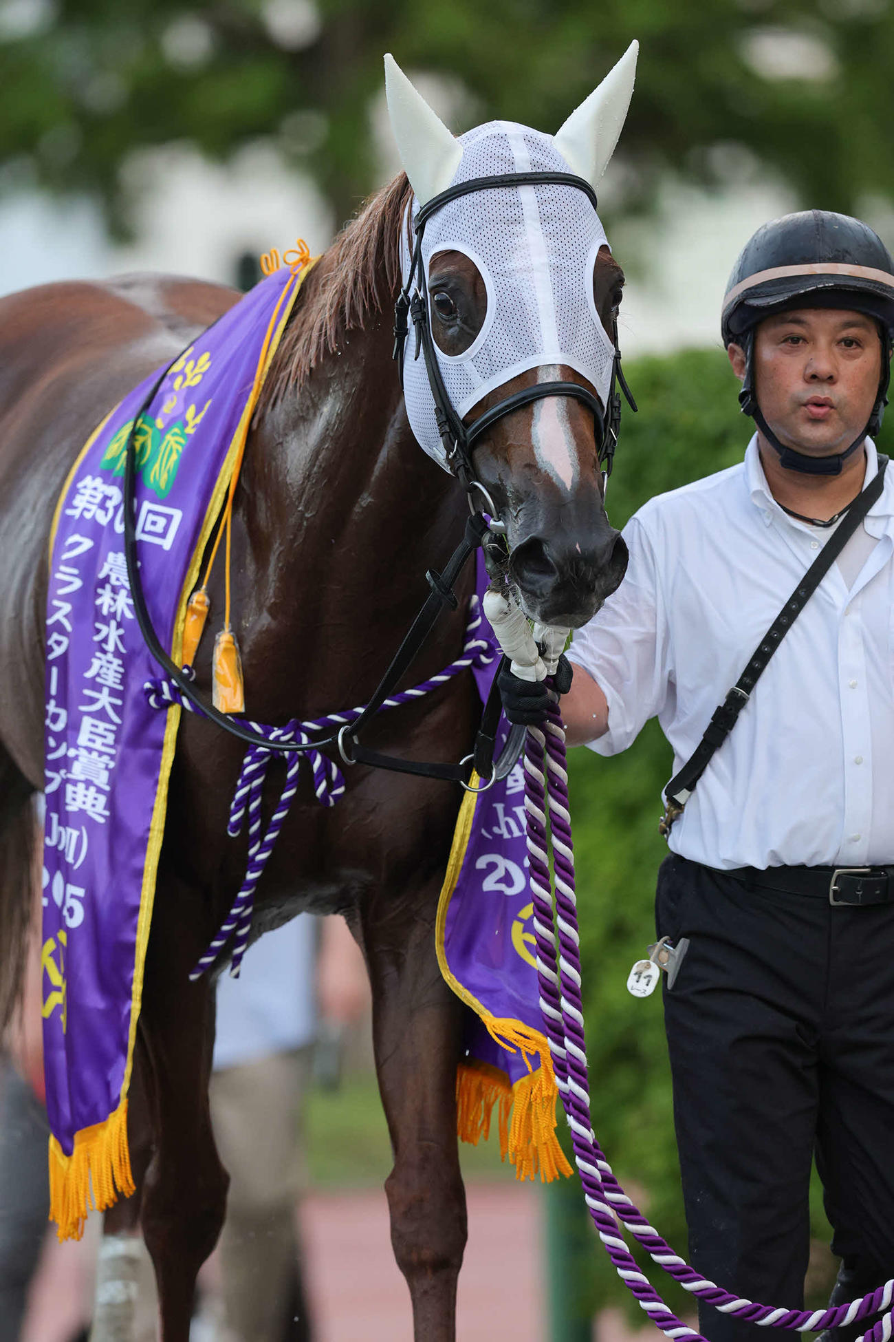クラスターCを制したサンライズアムール（写真提供・岩手県競馬組合）