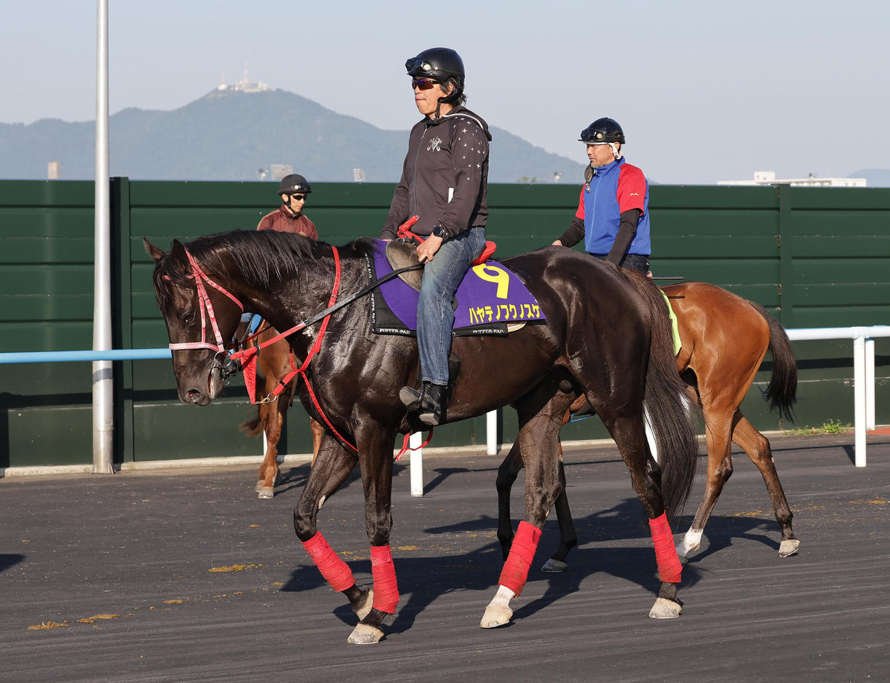 6月、函館競馬場で調整するハヤテノフクノスケ