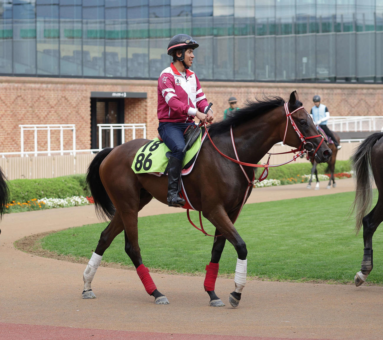 函館競馬場で調整するジーティーメティオ