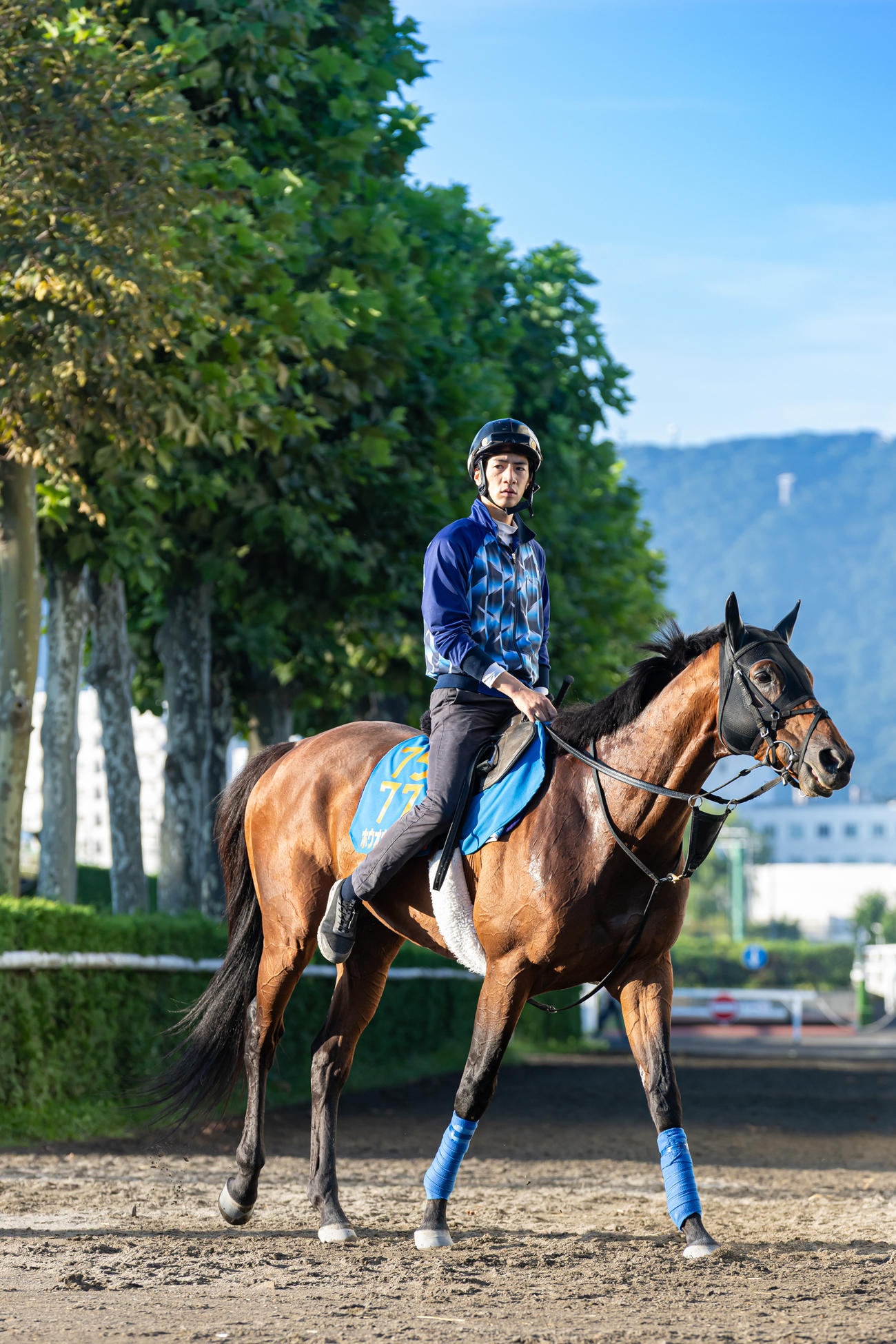 札幌競馬場で調整するホウオウビスケッツ（撮影・村野早祐）