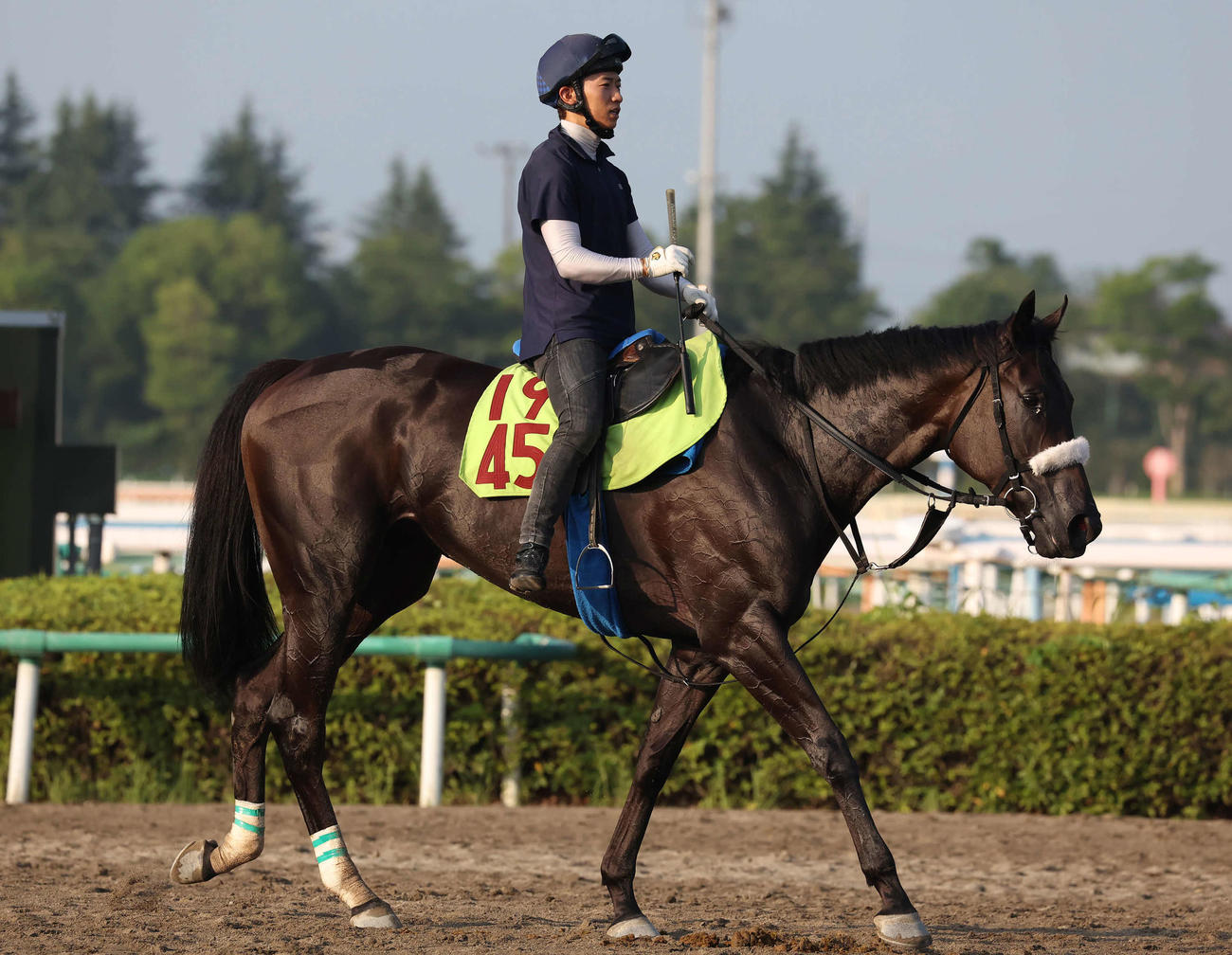 追い切りを終えて馬場を出るジャストマイウェイ（2025年8月6日撮影）