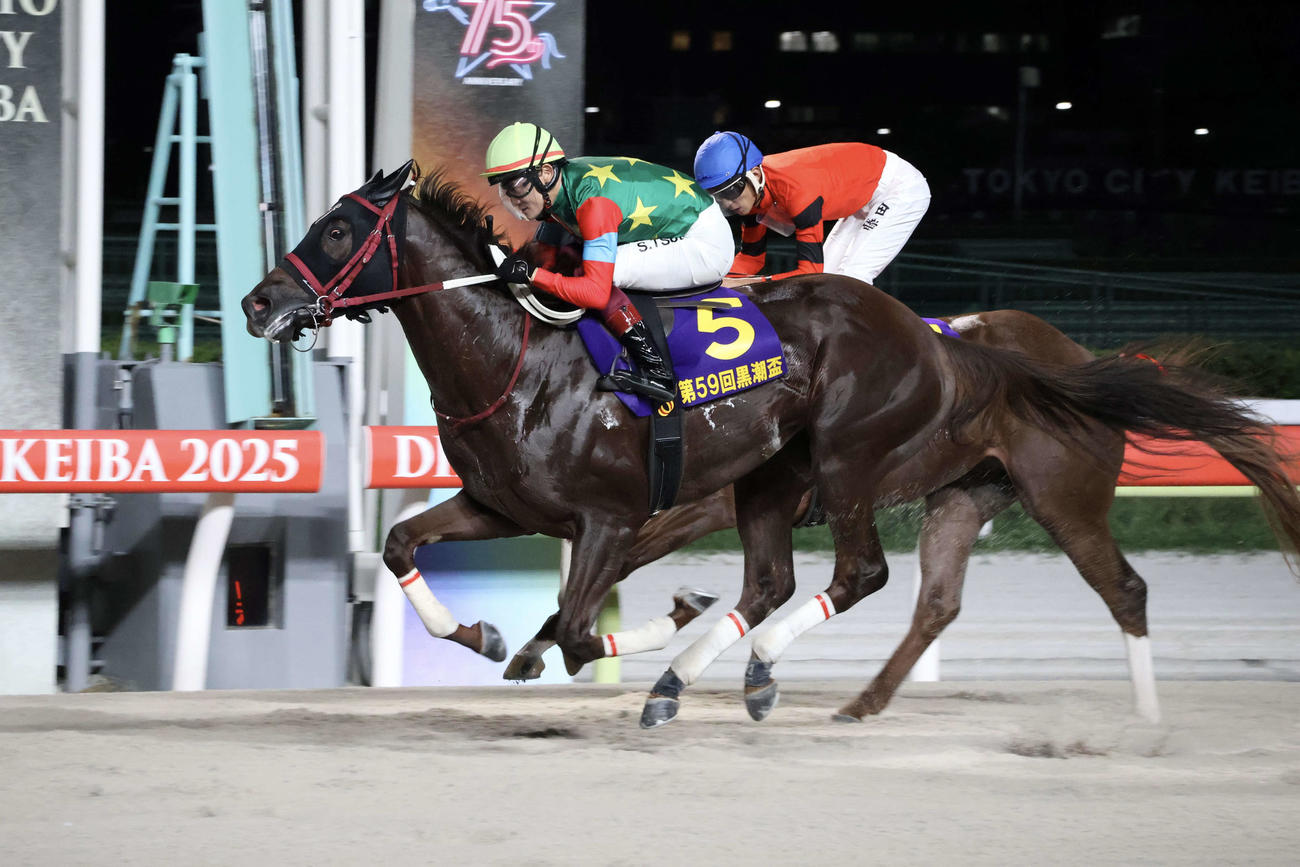 5連勝で重賞初タイトルを手にしたマウンテンローレル