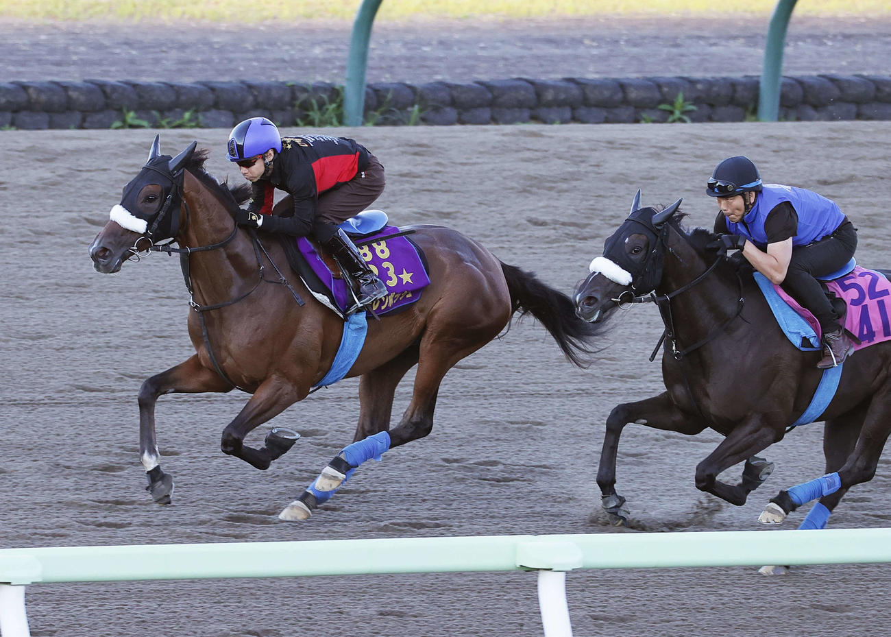 池添騎手を背に函館ダートで追い切られるステレンボッシュ（左）