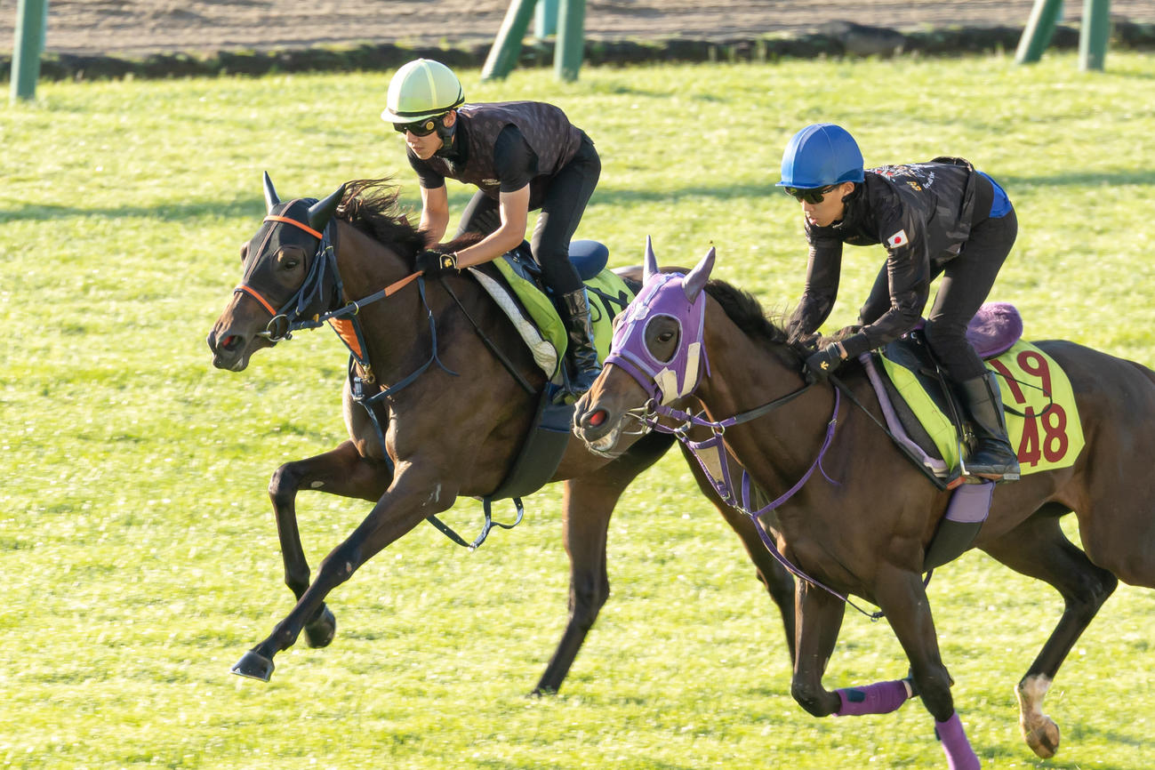 札幌芝コースで併せて追い切られるシンギュラリーレディ（左）（撮影・村野早祐）