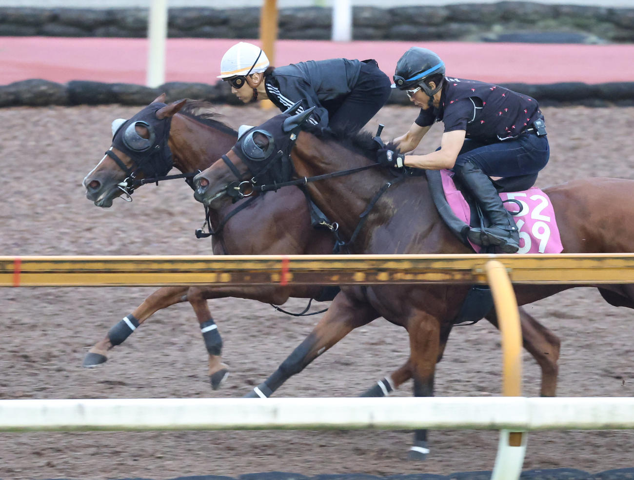 石橋騎手を背にCウッドを併せ馬で追い切るフェスティバルヒル（奥）