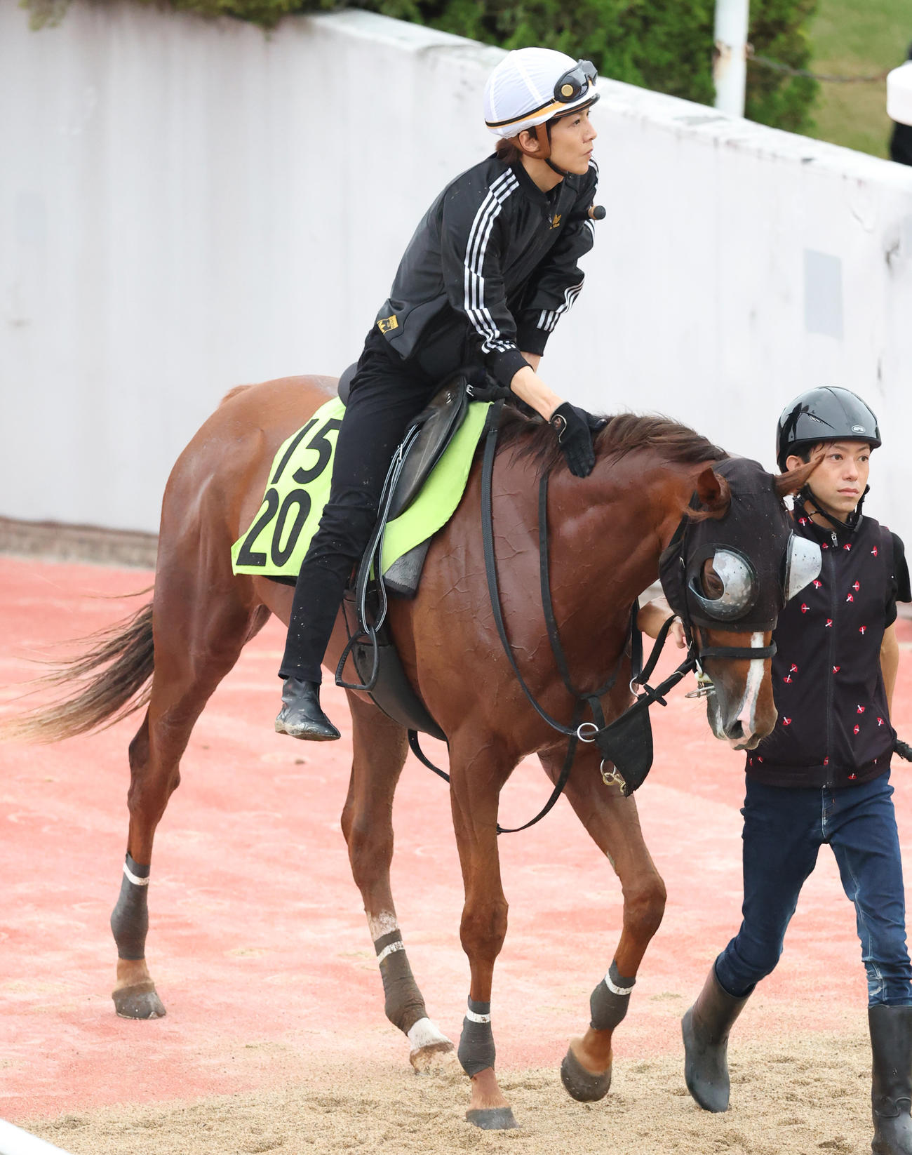 石橋騎手を背に引き揚げるフェスティバルヒル