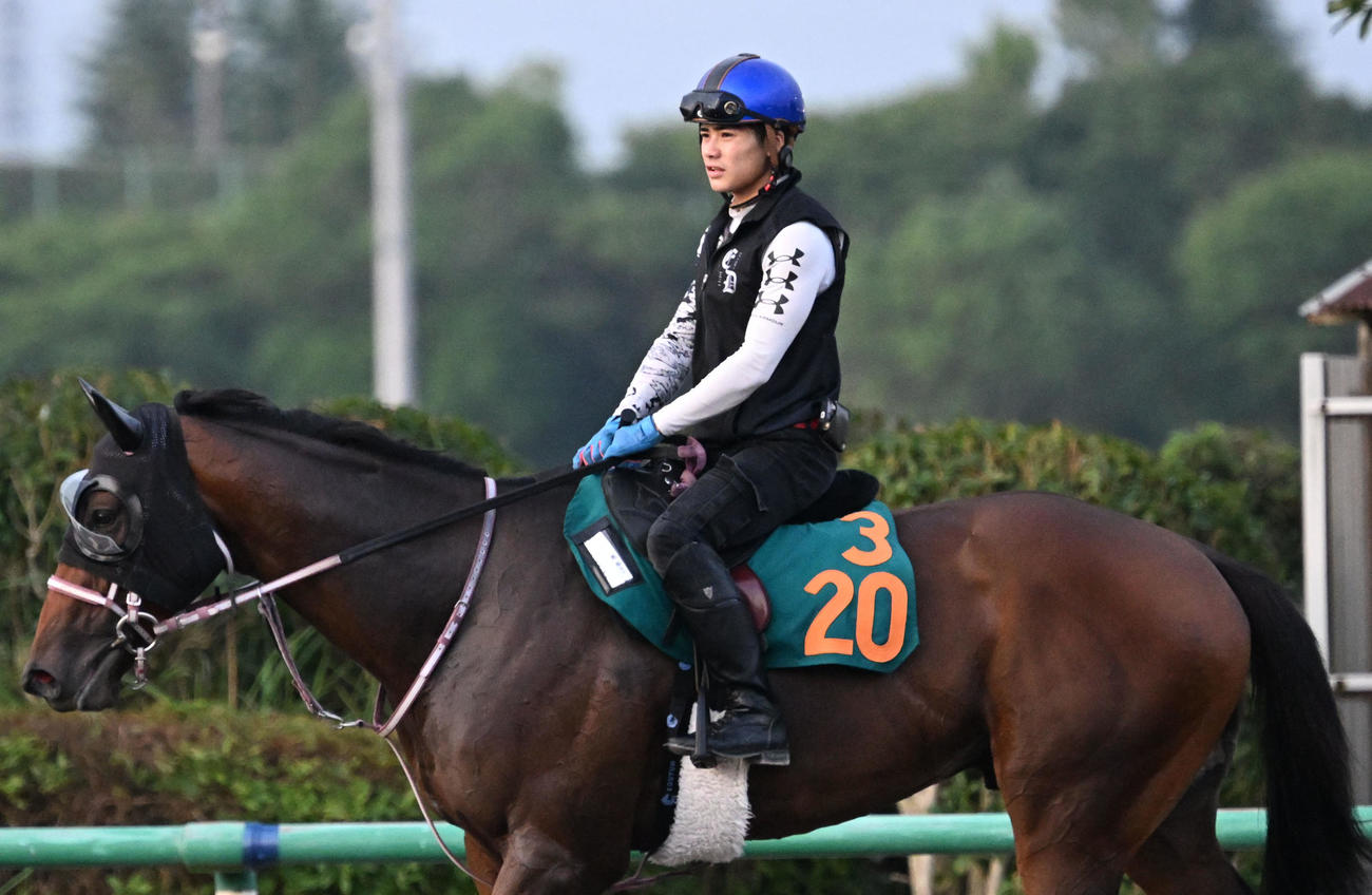 調教に臨むエクラドット鞍上の水沼元輝騎手（撮影・千葉一成）