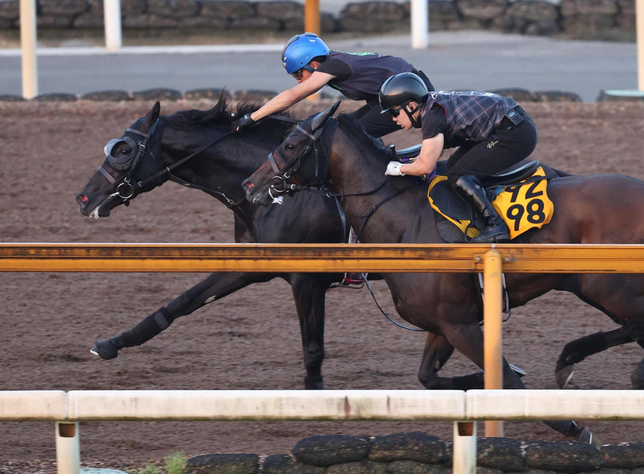 団野騎手を背にCウッドルシフェル（右）と併せ馬で追い切るクロワデュノール（撮影・白石智彦）