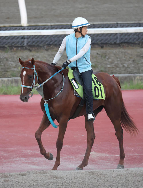 メイショウハッケイ伸びた11秒3 松本好雄オーナーのメモリアルV