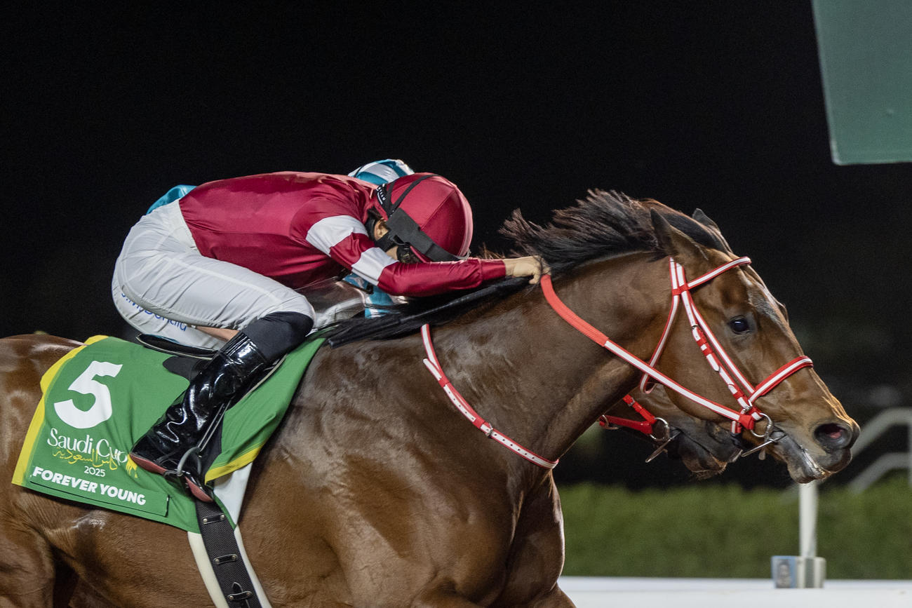 サウジCを制したフォーエバーヤング（C）Jockey Club of Saudi Arabia / Mathea Kelley