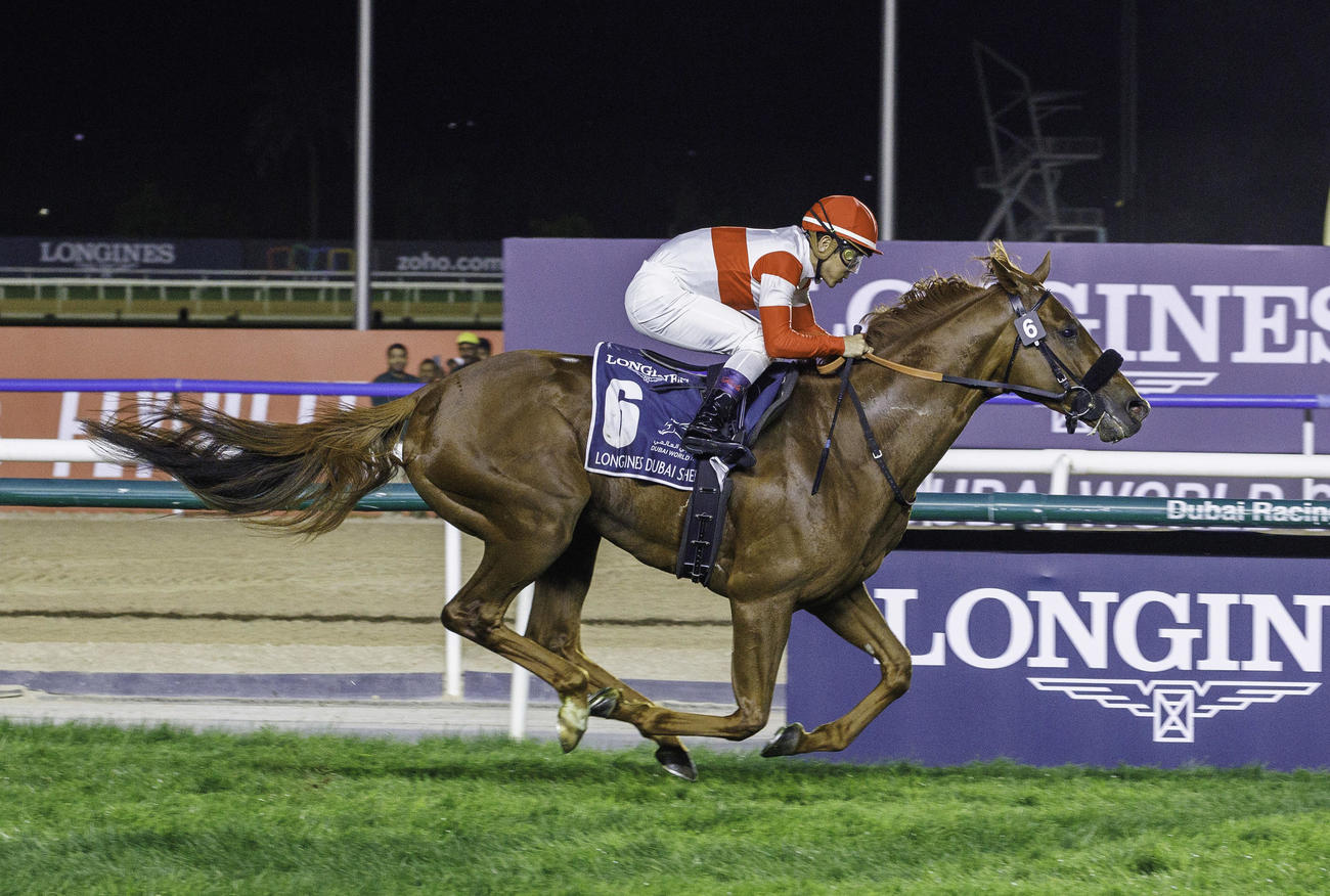 ドバイシーマCを制したダノンデサイル（C）Dubai Racing Club