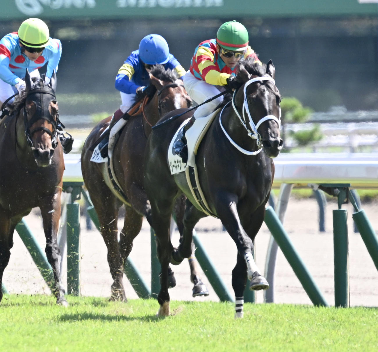 新潟1R、2歳未勝利戦を制したジーネキングと戸崎騎手（右）（撮影・千葉一成）