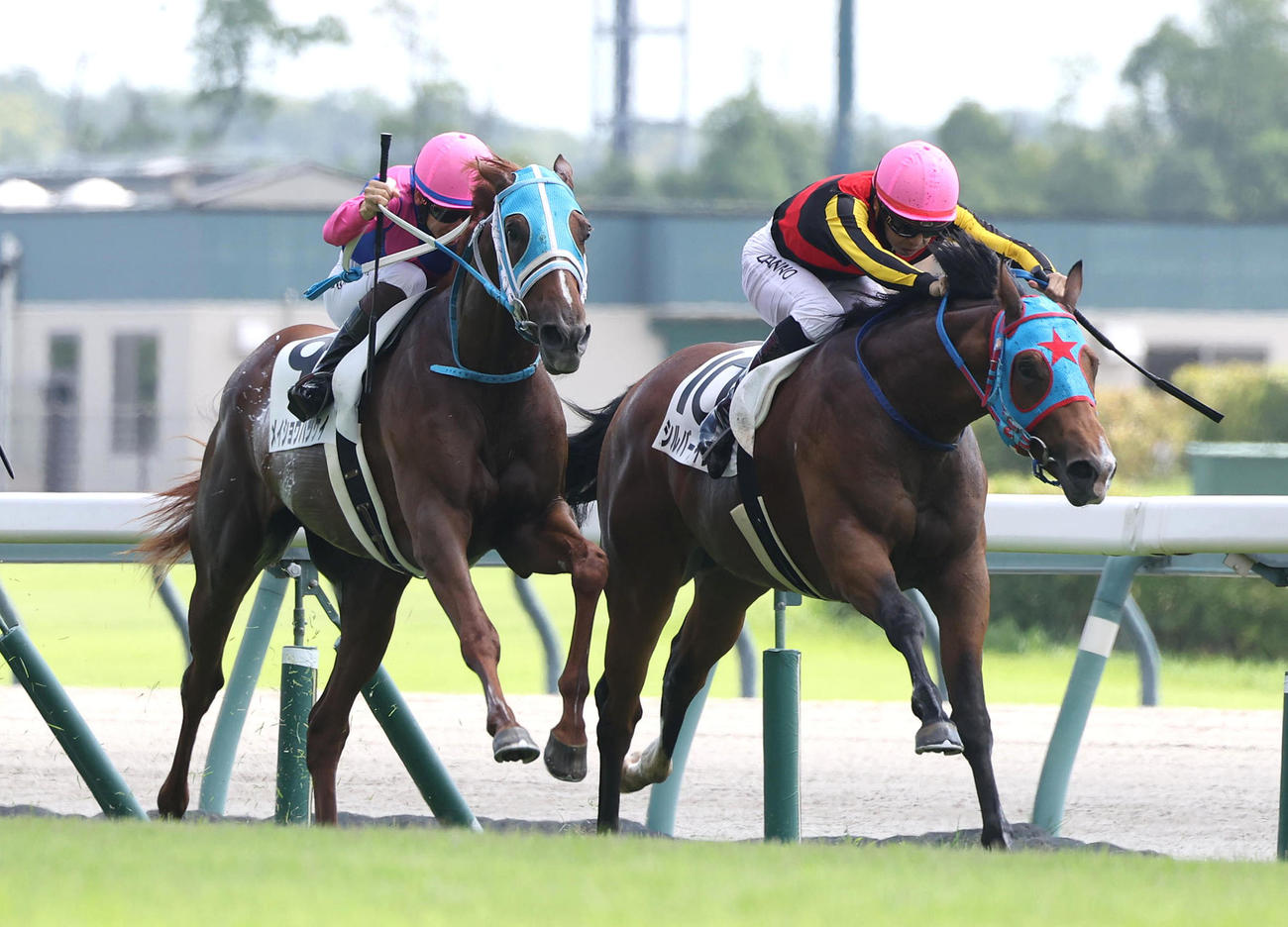中京2R、直線抜け出して新馬戦を制したシルバーナイツ（右）（撮影・白石智彦）