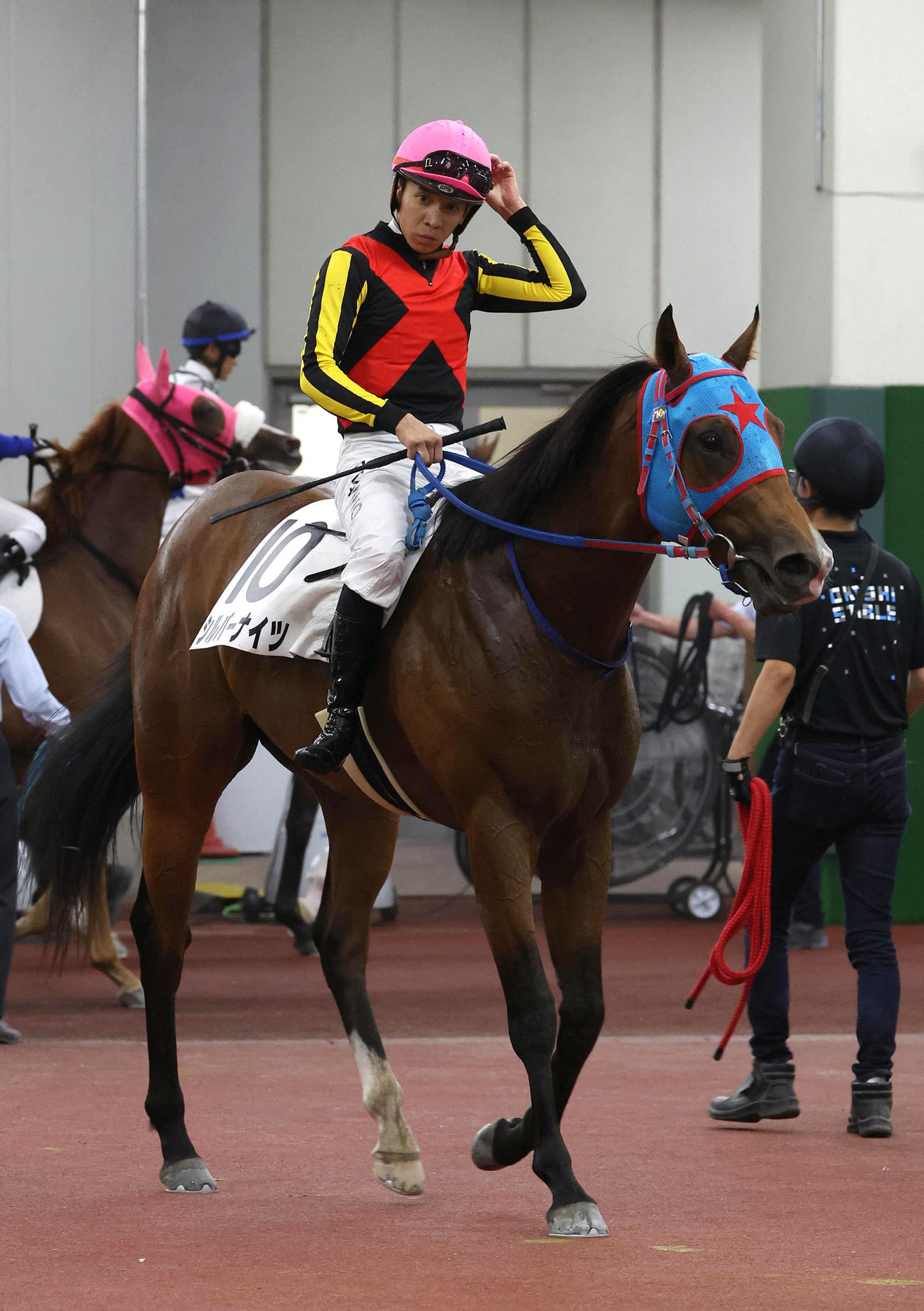 中京2R、新馬戦を制したシルバーナイツ（撮影・白石智彦）