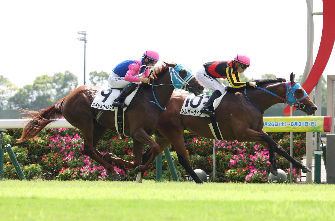中京2R、直線抜け出して新馬戦を制したシルバーナイツ（右）（撮影・白石智彦）