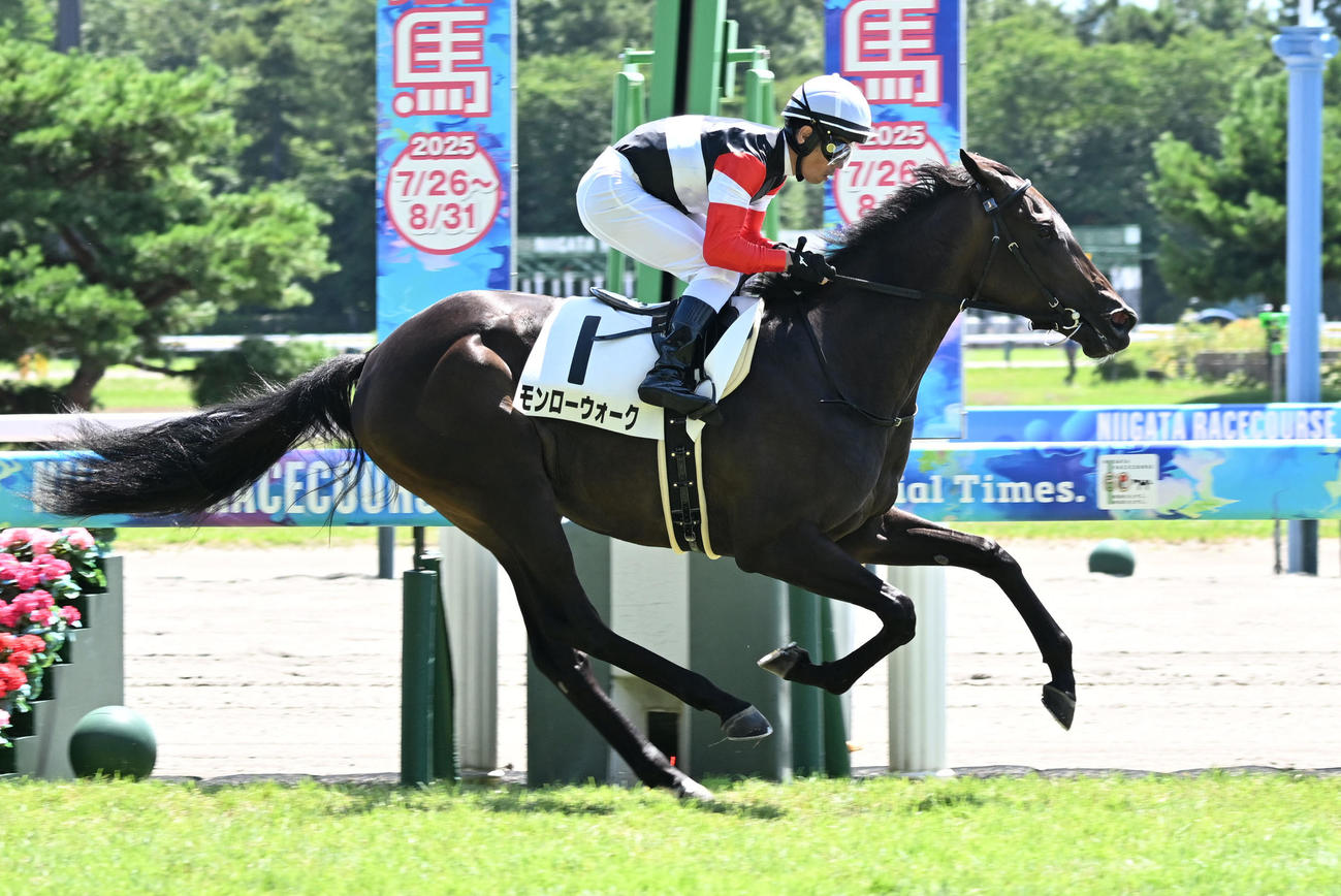 新潟4R、2歳新馬戦を制したモンローウォークと戸崎騎手（撮影・千葉一成）