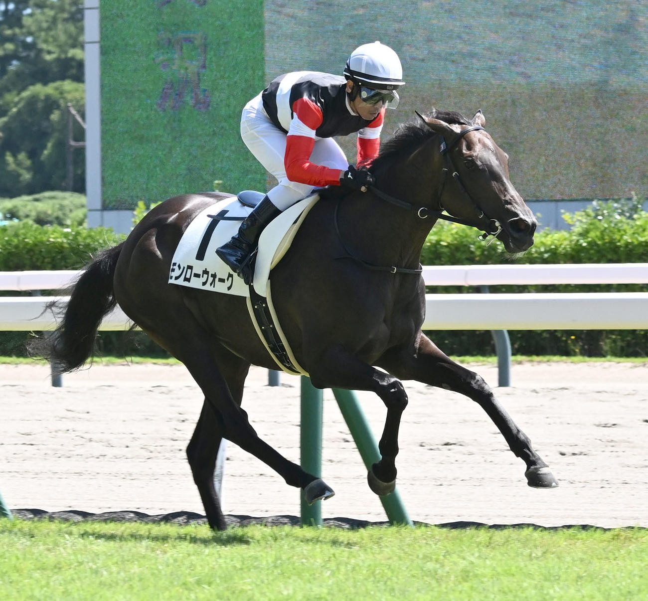 新潟4R、2歳新馬戦を制したモンローウォークと戸崎騎手（撮影・千葉一成）