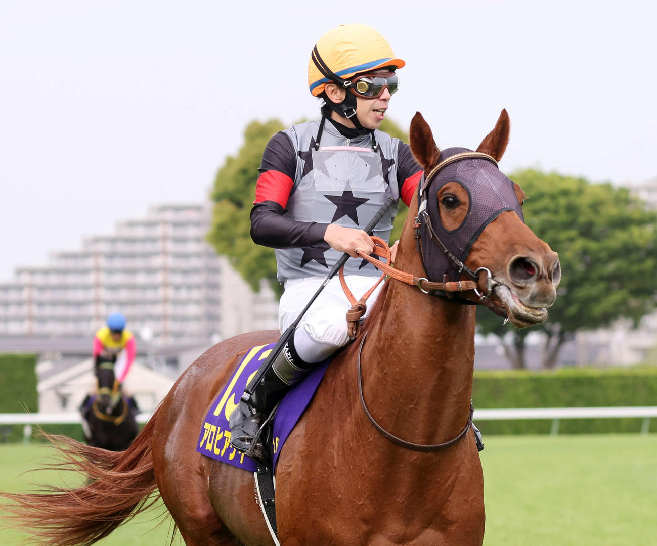 中山11R、皐月賞で8着になったアロヒアリイと横山和騎手（撮影・丹羽敏通）