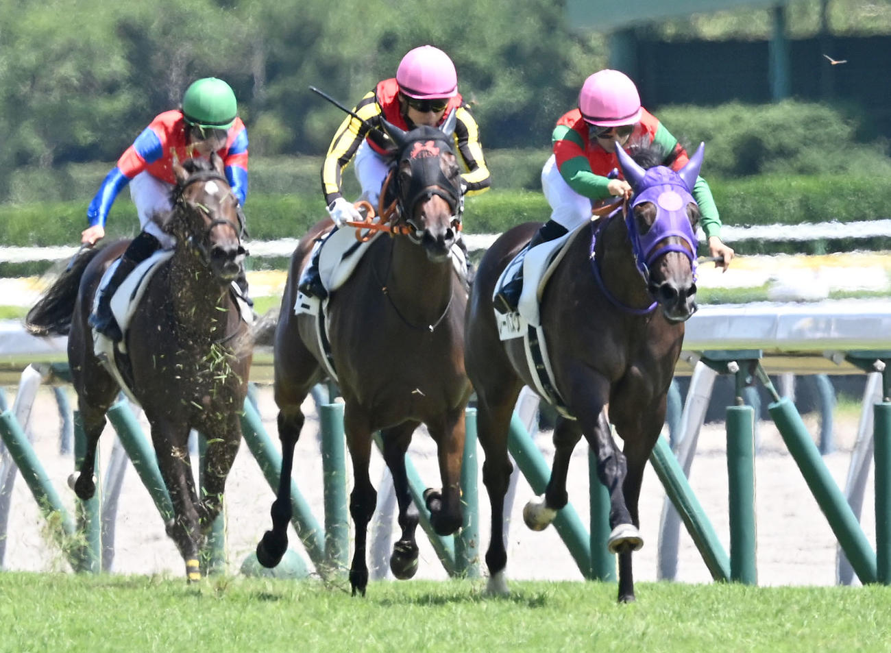 新潟5R、2歳牝馬新馬戦を制したベレーバスクと石神道騎手（右）（撮影・千葉一成）