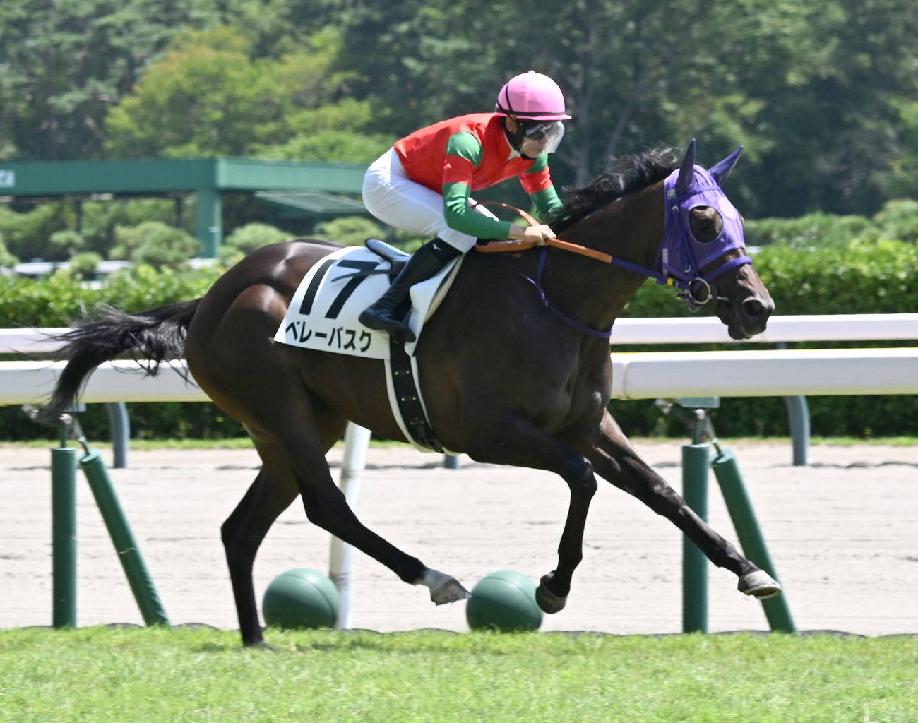 新潟5R、2歳牝馬新馬戦を制したベレーバスクと石神道騎手（撮影・千葉一成）