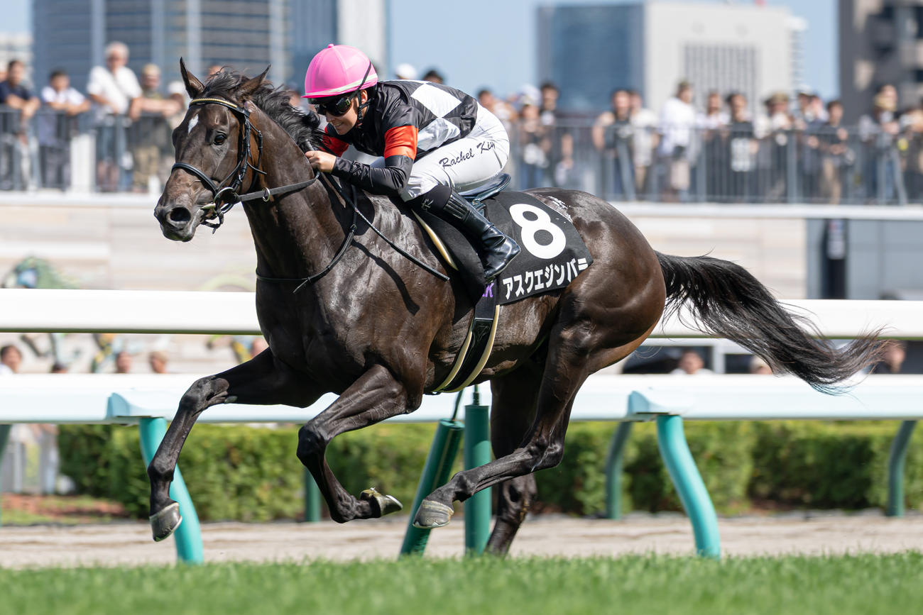 コスモス賞を制したアスクエジンバラとR・キング騎手（撮影・村野早祐）