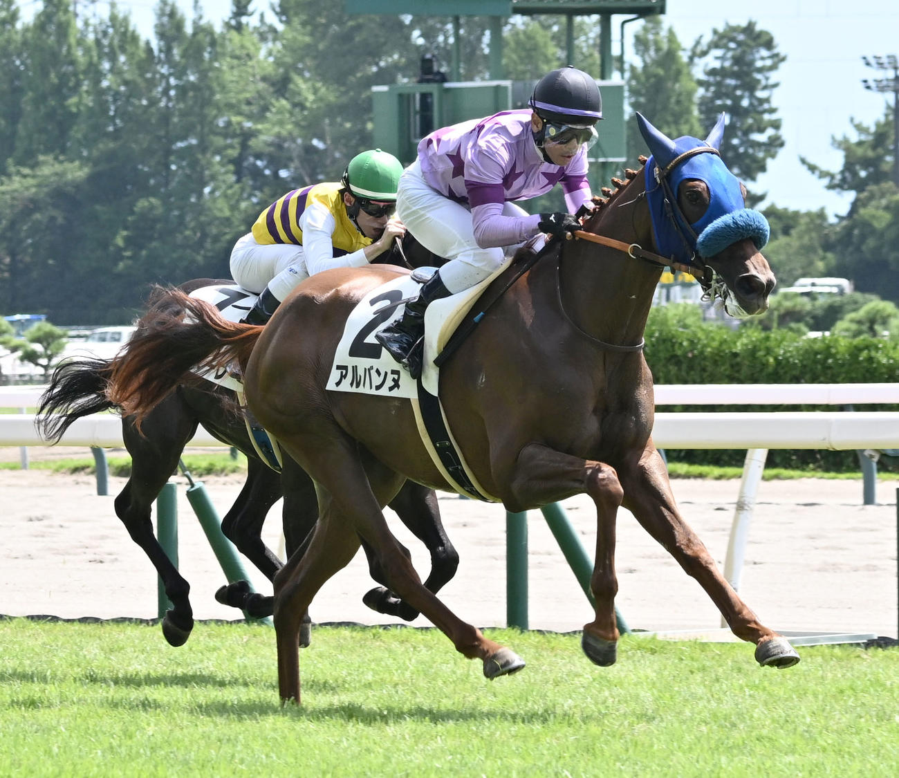 新潟3R、2歳牝馬未勝利戦を制したアルバンヌと戸崎騎手（撮影・千葉一成）