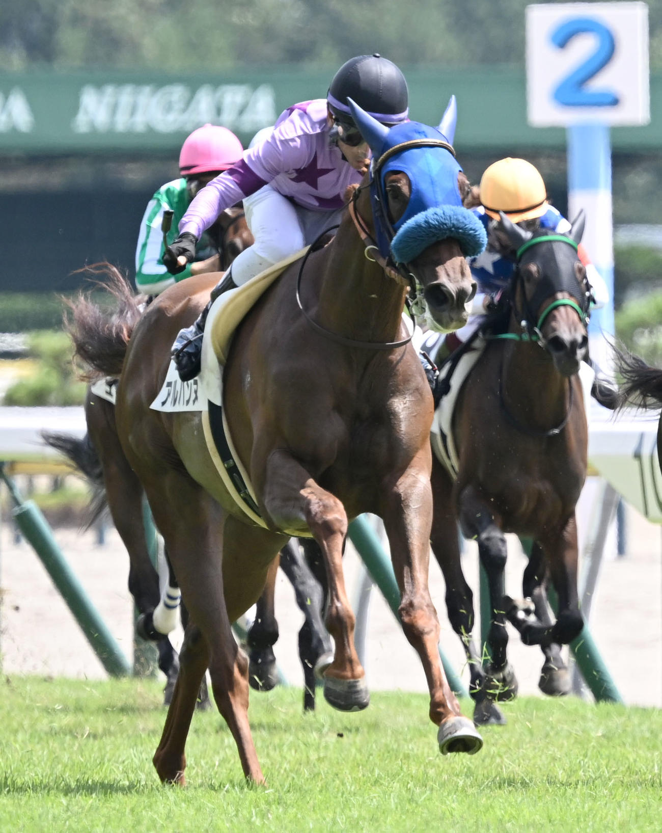 新潟3R、2歳牝馬未勝利戦を制したアルバンヌと戸崎騎手（撮影・千葉一成）