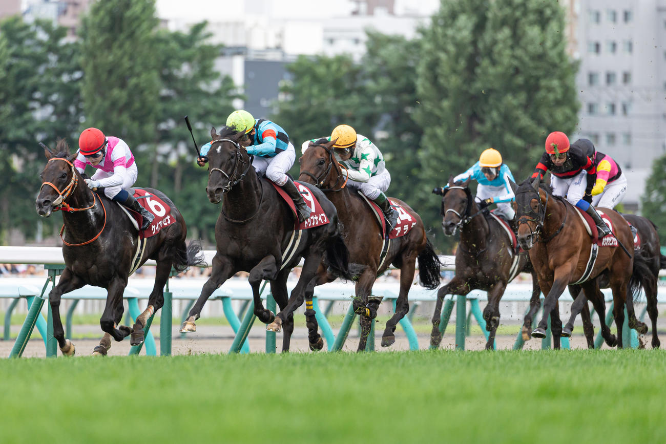 札幌記念を制したトップナイフと横山典騎手（左から2頭目）（撮影・村野早祐）