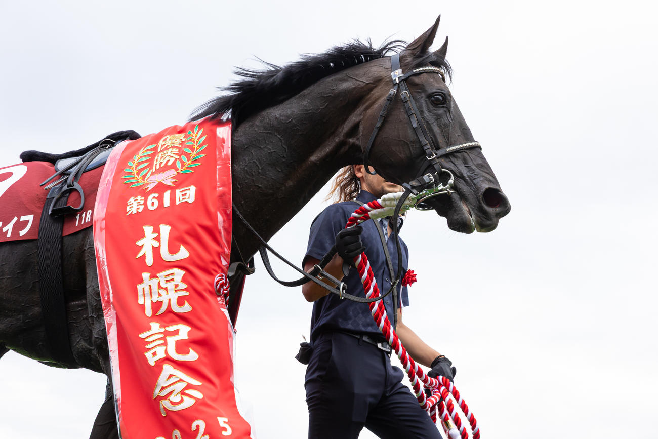 札幌記念を制したトップナイフ（撮影・村野早祐）