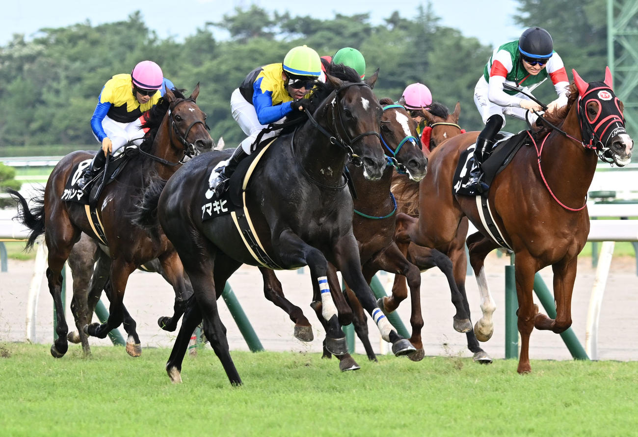 阿賀野川特別を制したアマキヒと戸崎騎手（中央）（撮影・千葉一成）