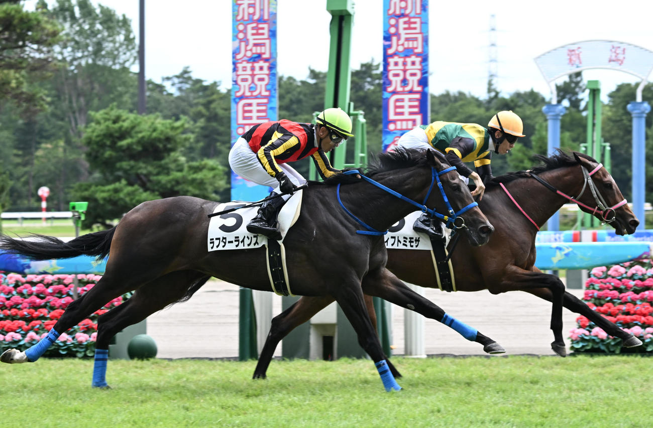 2歳新馬戦を制したスウィフトミモザと津村騎手。手前は2着のラフターラインズ（撮影・千葉一成）