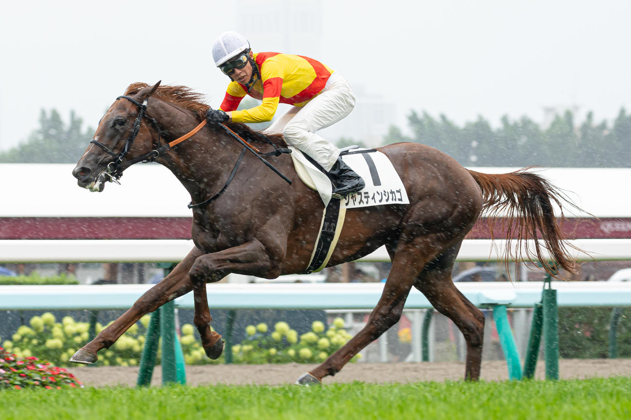 札幌5R、デビュー戦を制したジャスティンシカゴと武豊騎手（撮影・村野早祐）