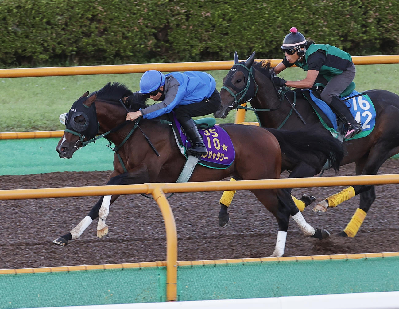 13日、函館ウッドコースで追い切られるパンジャタワー（左）