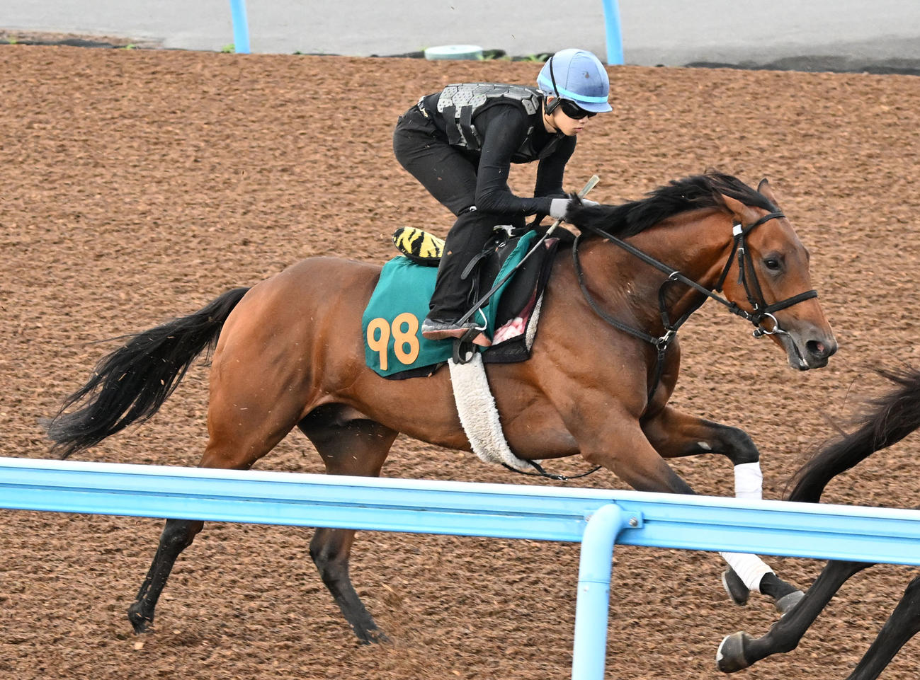 13日、美浦ウッドを2頭併せで追い切る横山琉人騎手鞍上のサノノグレーター