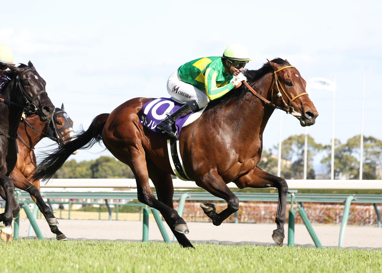 モレイラ騎手に導かれ高松宮記念を制したサトノレーヴ（撮影・白石智彦）