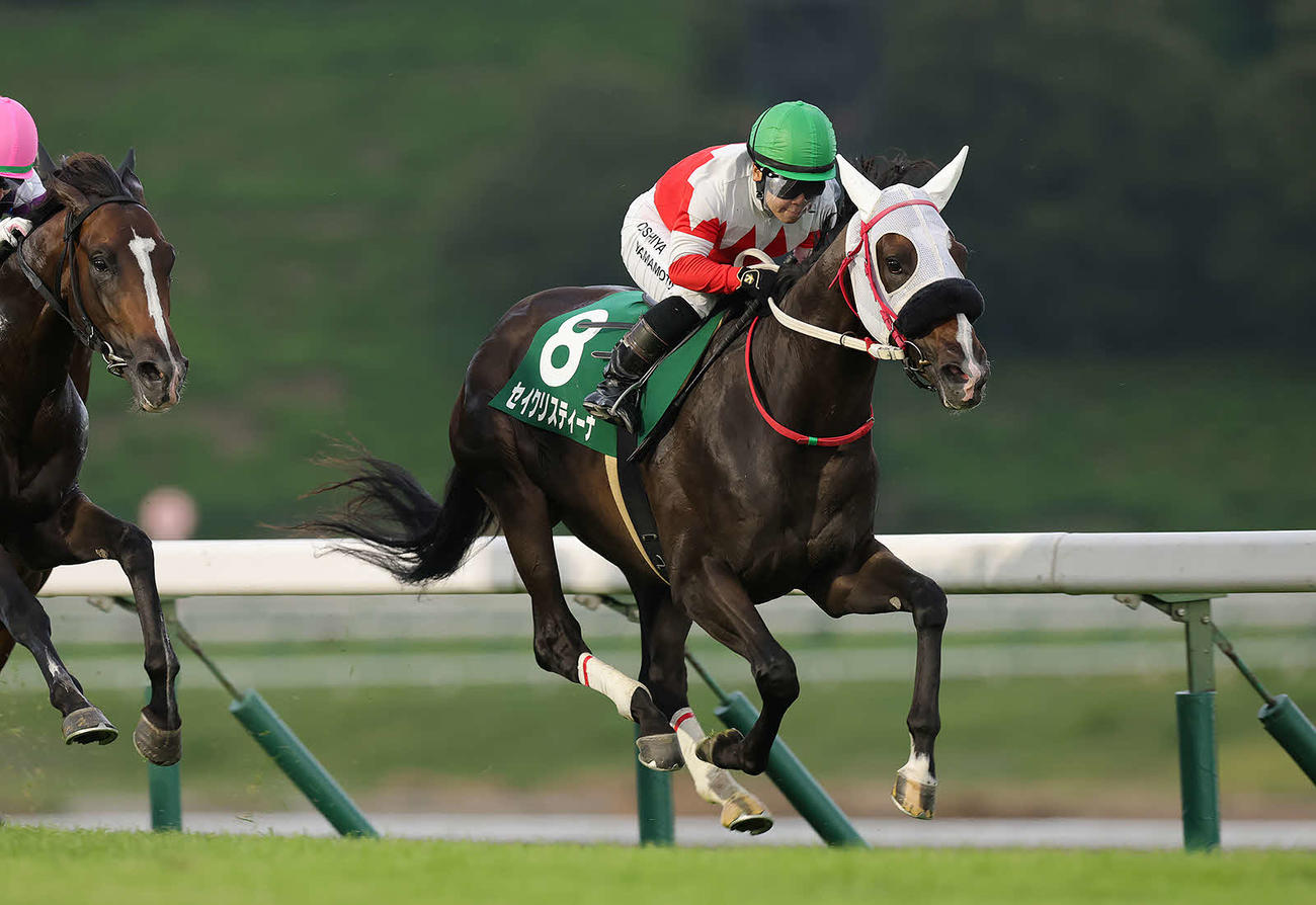 盛岡ジュニアグランプリを制したセイクリスティーナ（写真提供・岩手県競馬組合）