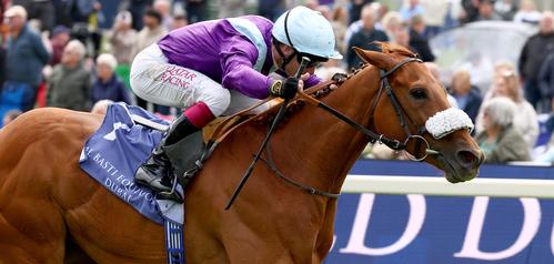 英インターナショナルS】父と母が勝ち馬の“完璧配合”馬が大駆けだ