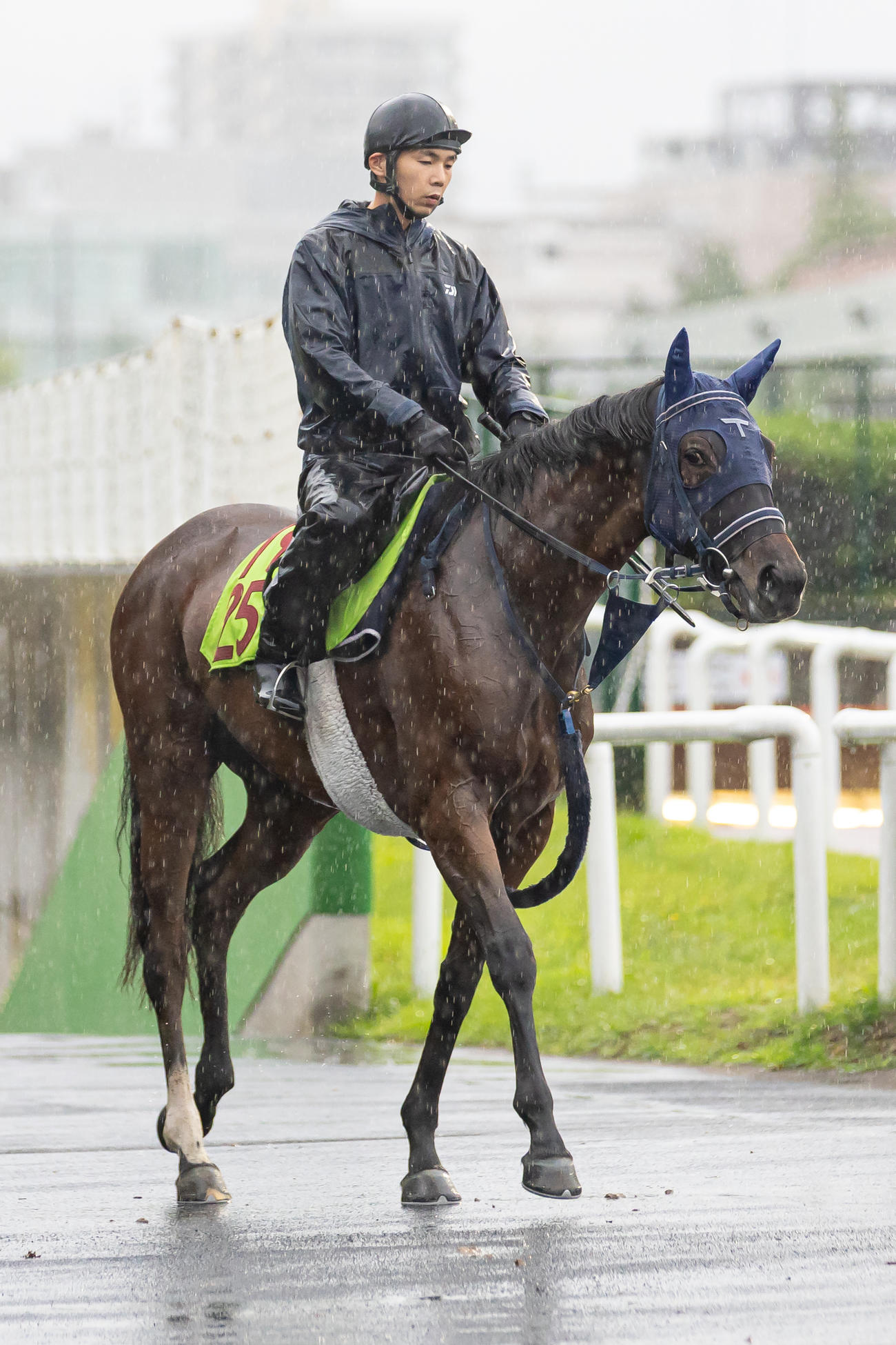 札幌競馬場で調整されるウインベルチェーロ（撮影・村野早祐）