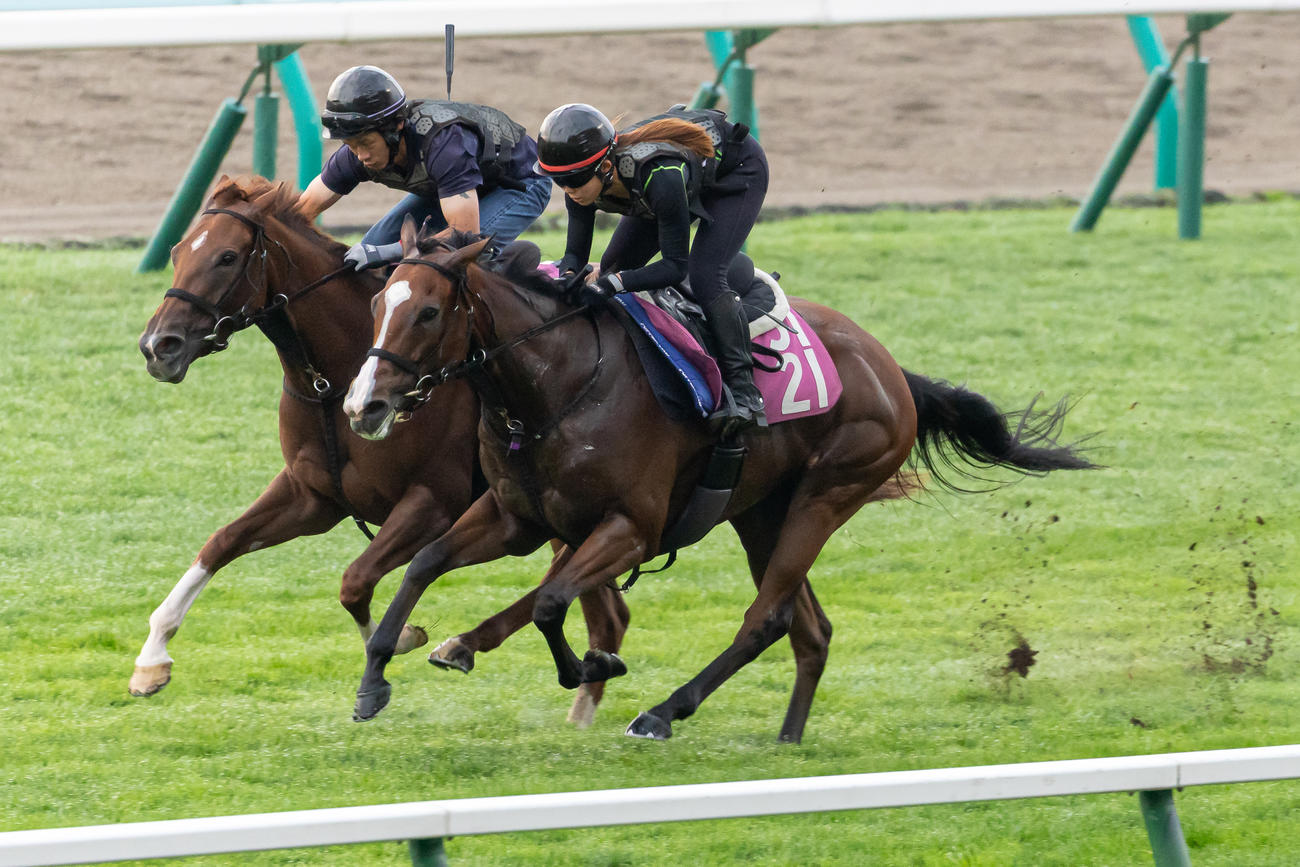 札幌芝コースで併せて追い切られるカルプスペルシュ（右）（撮影・村野早祐）