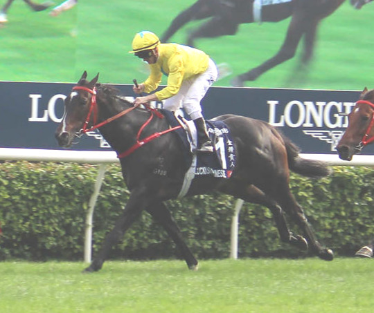 ラッキースワイネス（2023年12月撮影）