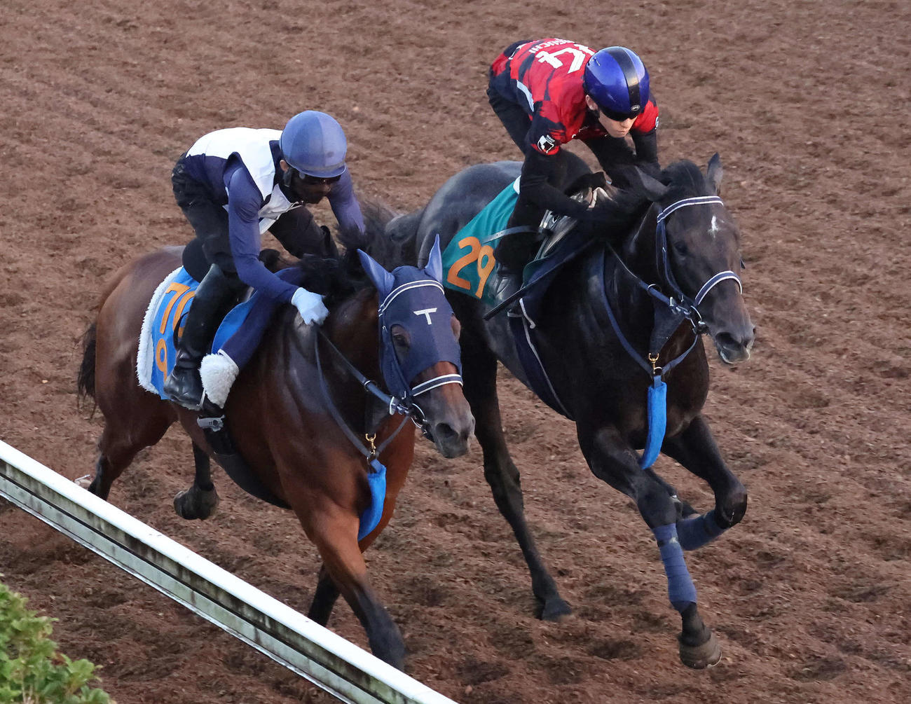 リアライズシリウス（右）は津村騎手を背に美浦坂路でスピリットガイドと併せて追い切られる
