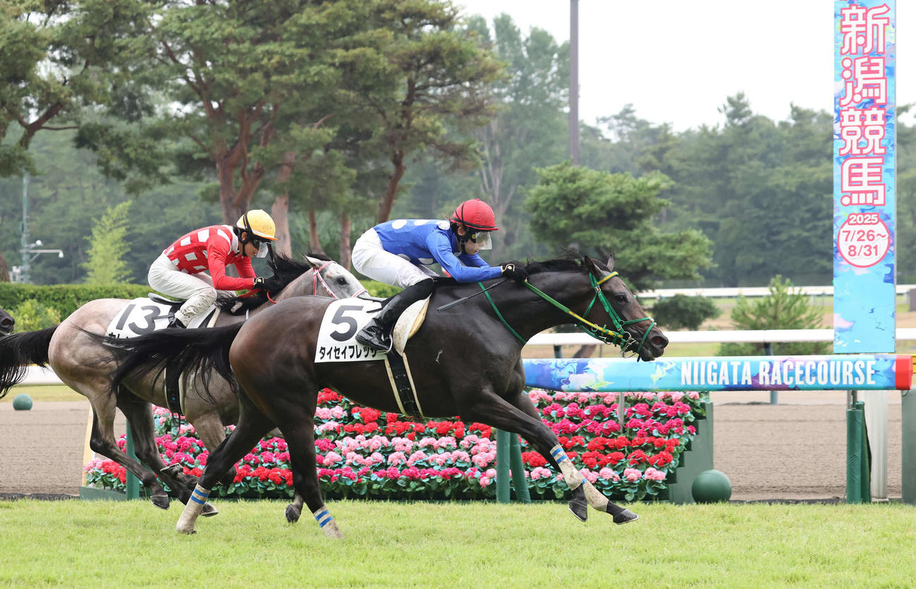 2歳未勝利戦を制したタイセイフレッサと斎藤騎手（2025年8月10日撮影）