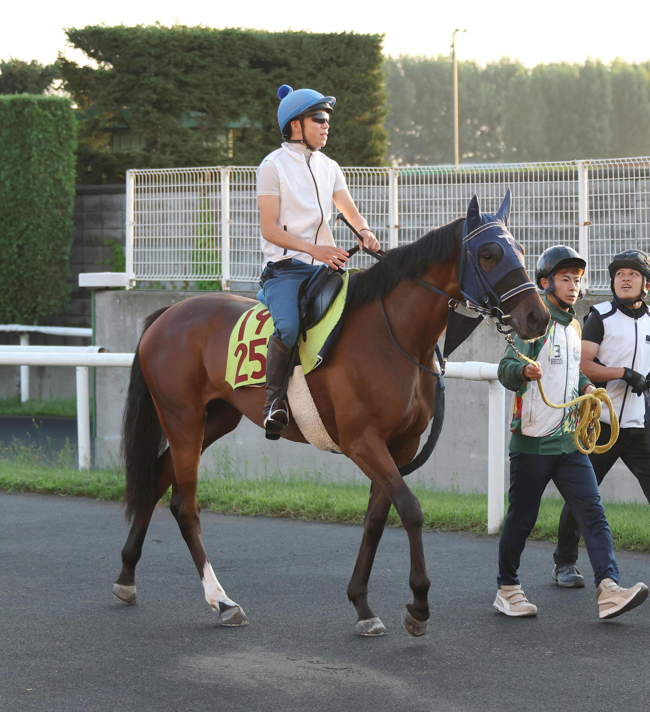 札幌競馬場で調整するウインベルチェーロ