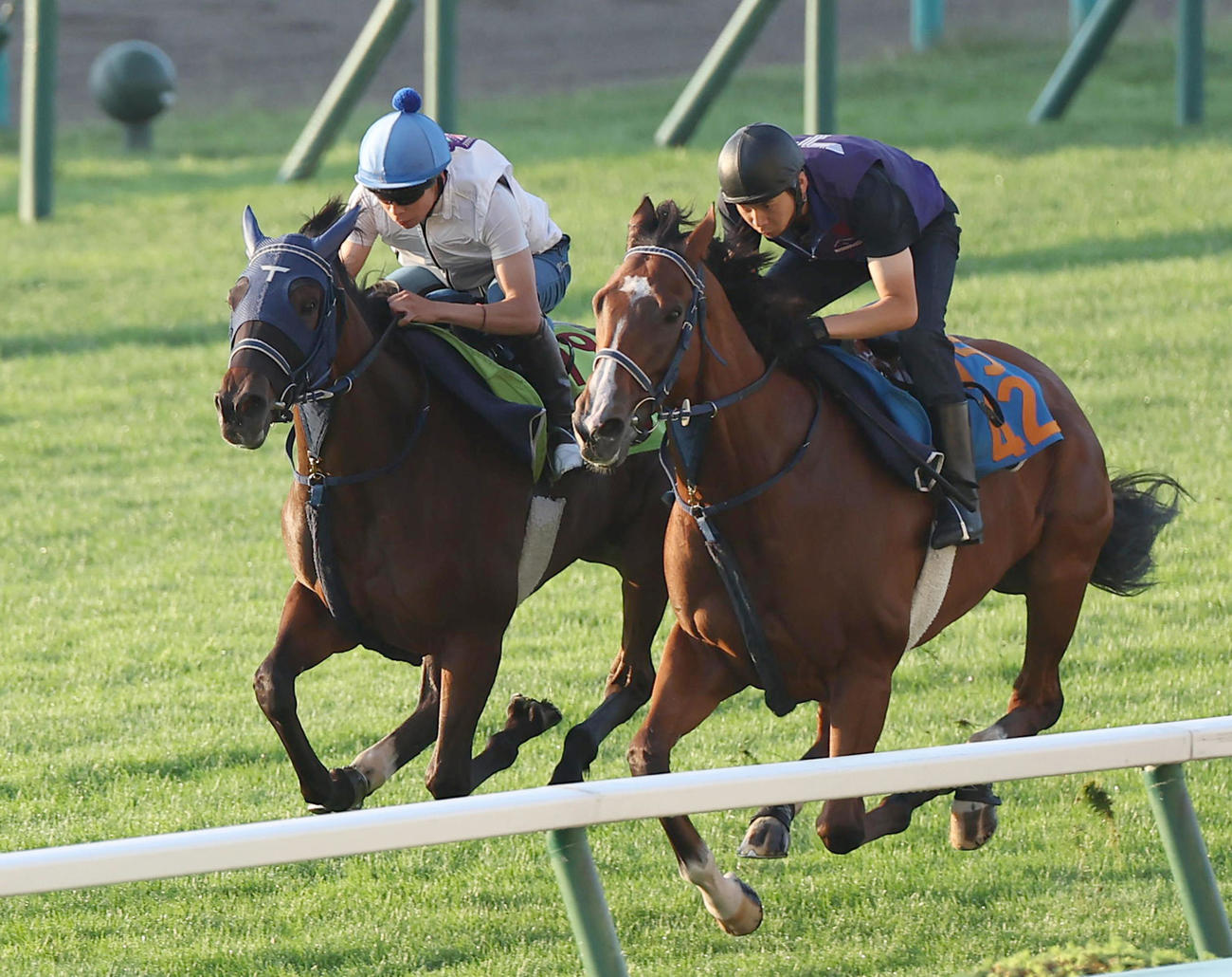 横山武史騎手を背に、札幌芝コースで併せ馬で追い切られるウインベルチェーロ（左）