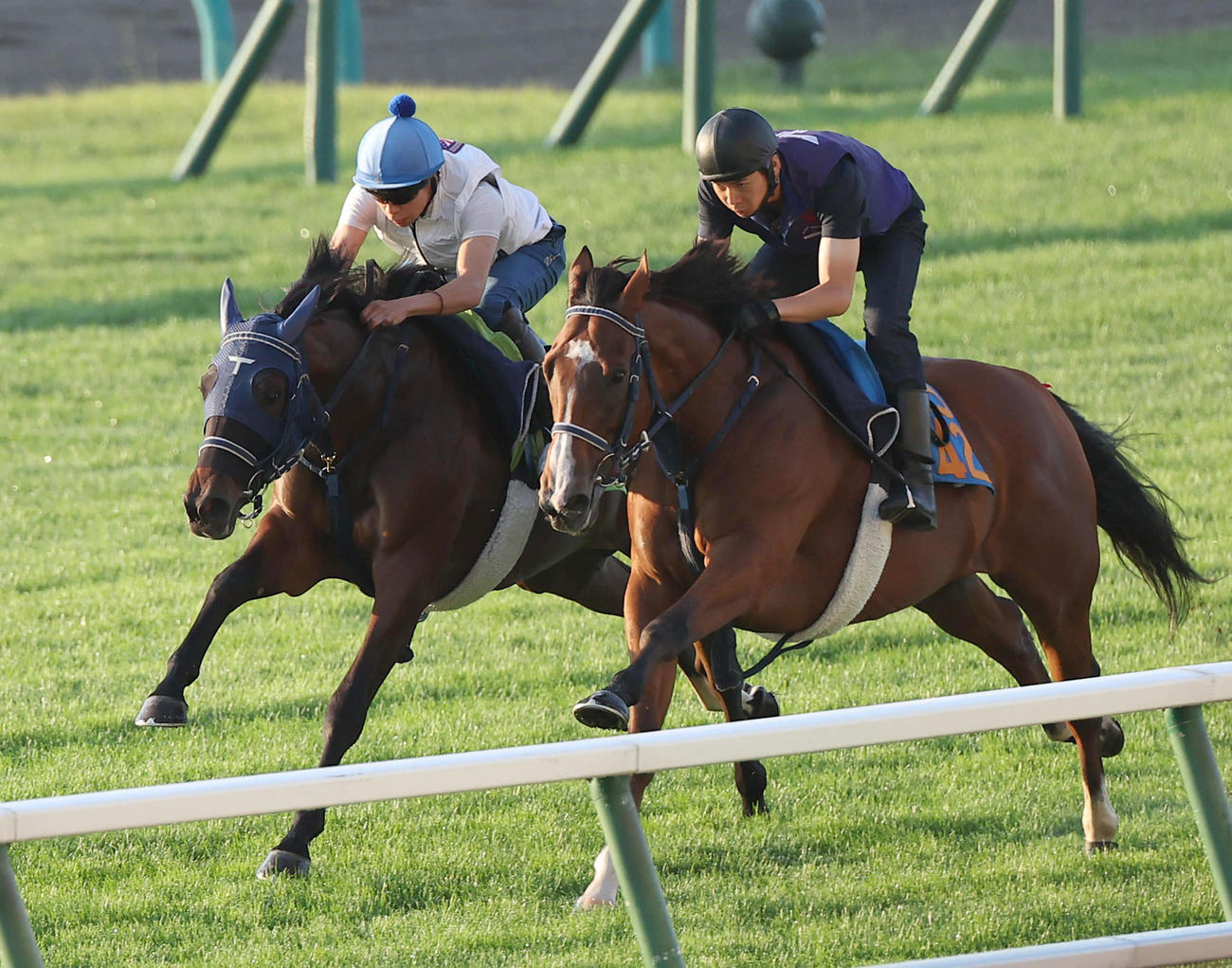 横山武史騎手を背に、札幌芝コースで併せ馬で追い切られるウインベルチェーロ（左）