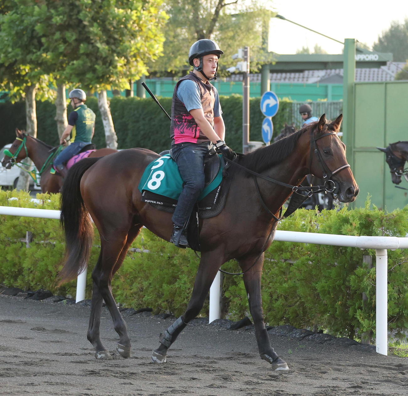 札幌競馬場で調整するフクチャンブラック