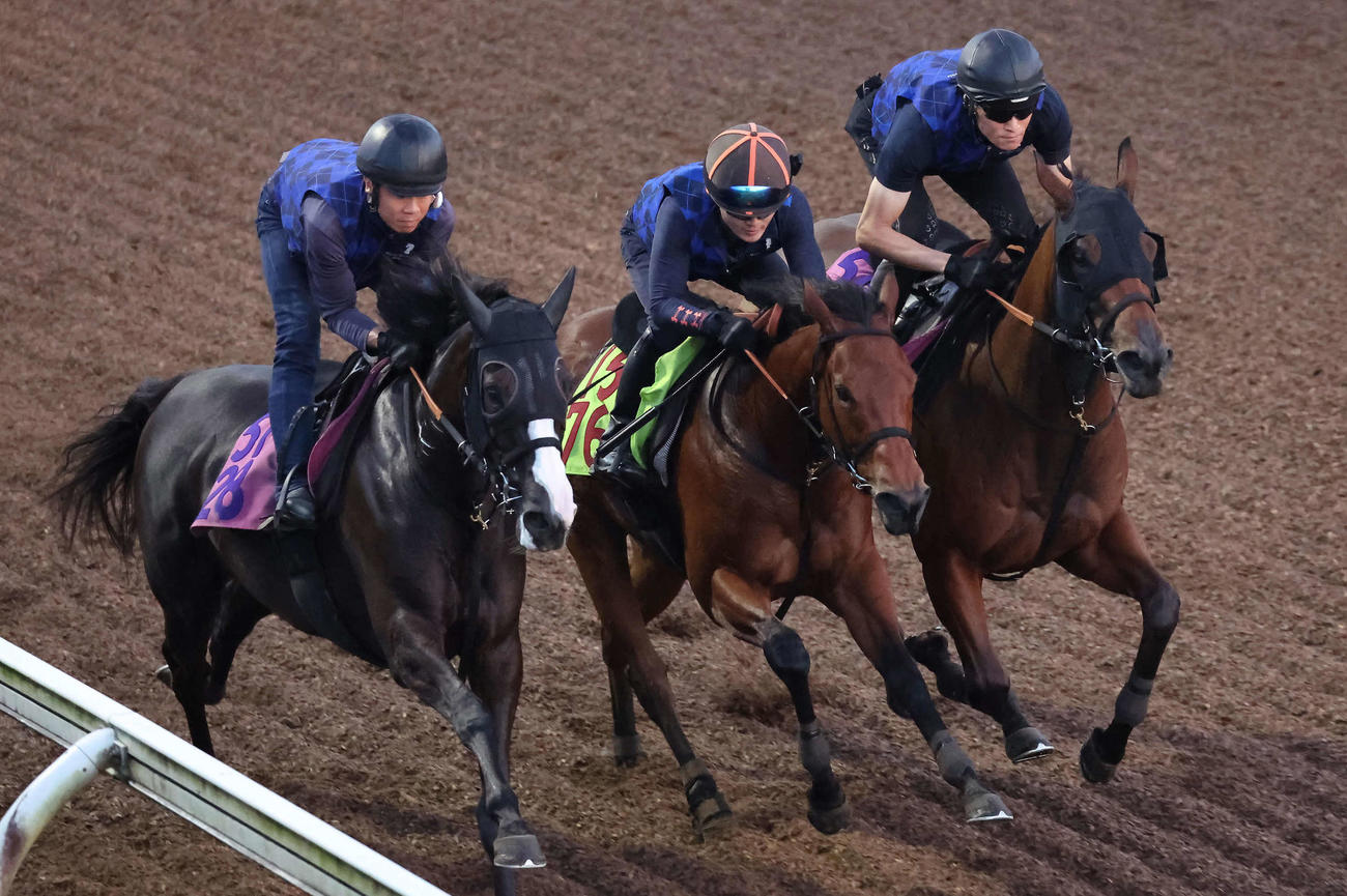 ブーケドリス（中央）は美浦坂路を3頭併せで追い切られた（2025年8月20日撮影）