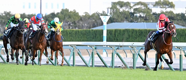 中京２歳ステークスを制したアメリカンステージ（右）＝２０２４年12月14日、中京競馬場